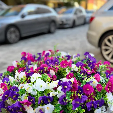 酒店 Regina Urban 利多迪迪耶索洛